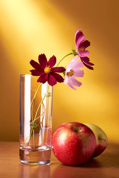 Zátiší květiny a jablka — Stock fotografie