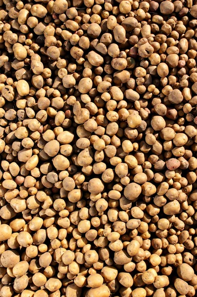 Potatoes background — Stock Photo, Image