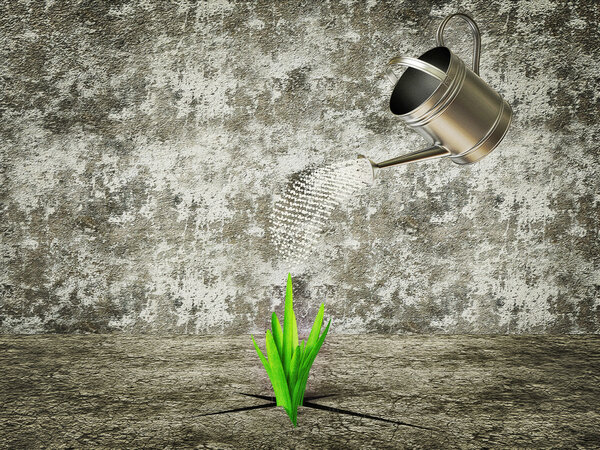 Quality 3D image in high resolution.