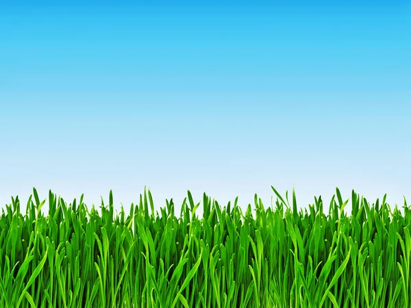 Čerstvá tráva izolovaných na modré obloze — Stock fotografie