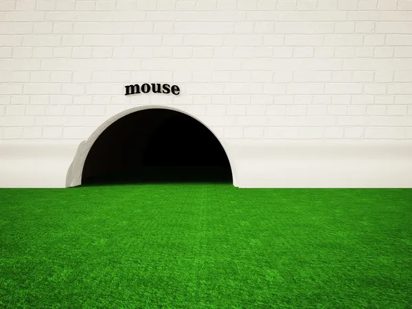 Mouse hole — Stock Photo, Image