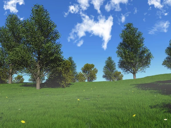 stock image Foggy spring meadow