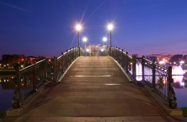 Tsaritsino bridge at night clipart