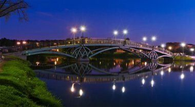 gece tsaritsino Köprüsü. Panorama