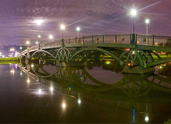 Tsaritsino 밤에 다리입니다. 파노라마 — 스톡 사진