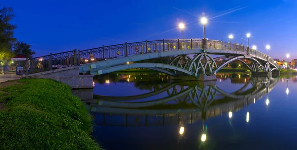 Tsaritsino bridge at night. panorama — Stock Photo, Image
