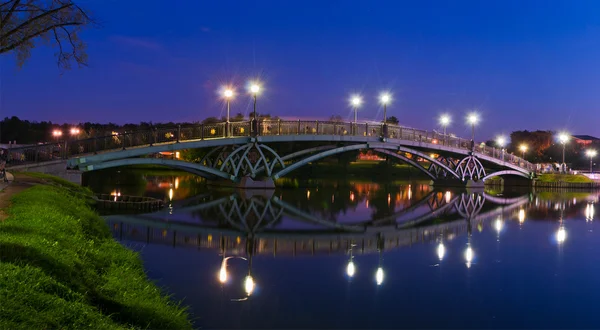 Tsaritsino 大桥夜景。全景图 — 图库照片