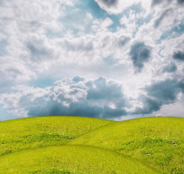 Трава під блакитним небом — стокове фото