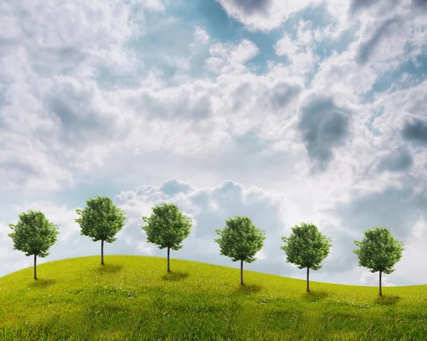 Panorama de campo verde com árvores — Fotografia de Stock