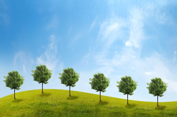 Panorama de campo verde com árvores em fundo céu azul — Fotografia de Stock