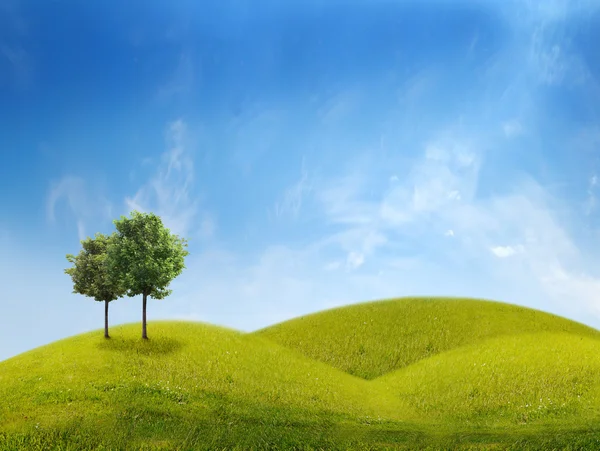 Panorama zelené pole se stromem — Stock fotografie