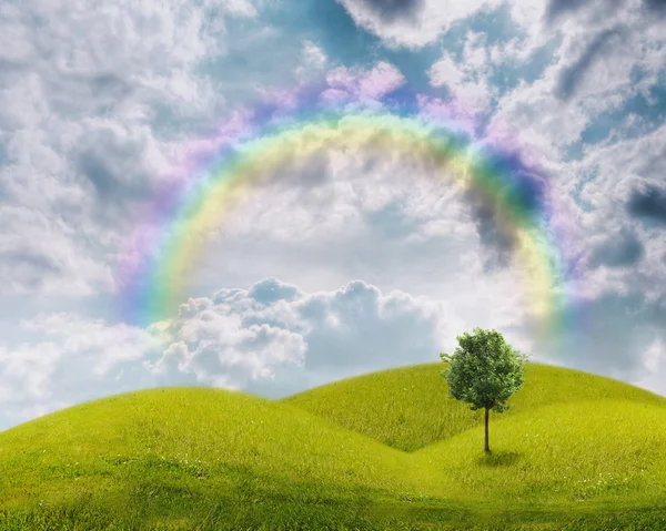 Panorama zielone pole z drzewa na tle błękitnego nieba — Zdjęcie stockowe