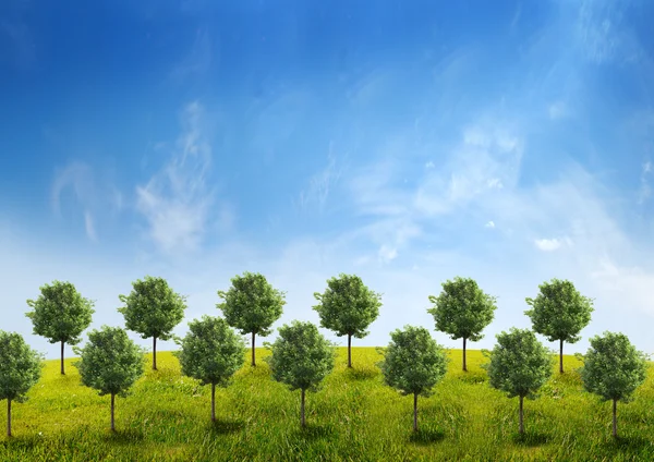 Панорама зеленого поля з деревами на фоні блакитного неба — стокове фото