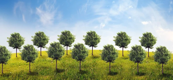 Panorama zelené pole se stromy — Stock fotografie