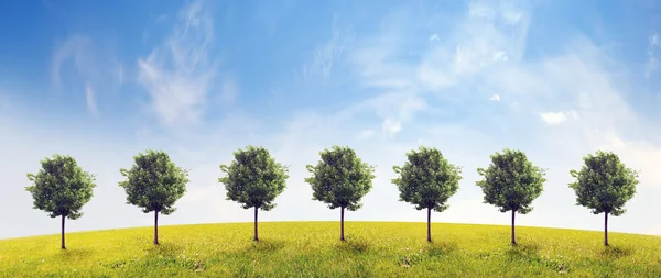 Panorama of green field with a trees on blue sky background — Stock Photo, Image