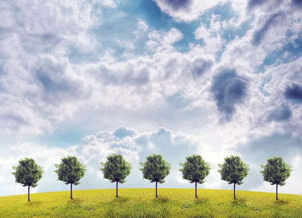 Panorama der grünen Wiese mit Bäumen auf blauem Himmel Hintergrund — Stockfoto