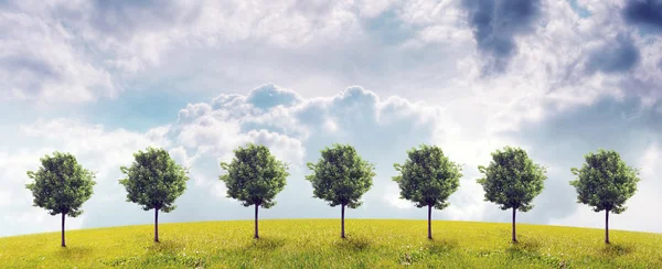 Panorama der grünen Wiese mit Bäumen — Stockfoto