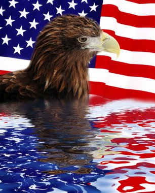 Bald Eagle in guarding American Flag clipart