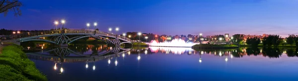 Tsaritsino 大桥夜景 — 图库照片
