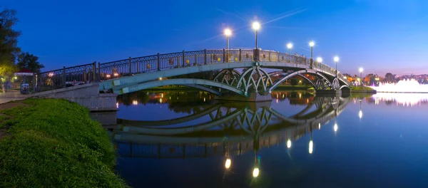 Tsaritsyno brug bij nacht — Stockfoto