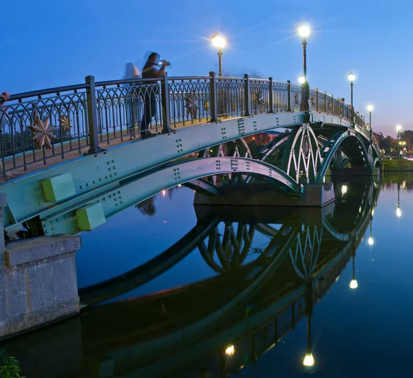 Tsaritsyno brug bij nacht — Stockfoto