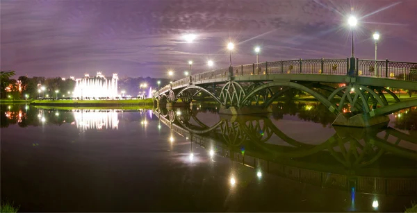 Tsaritsino 大桥夜景 — 图库照片