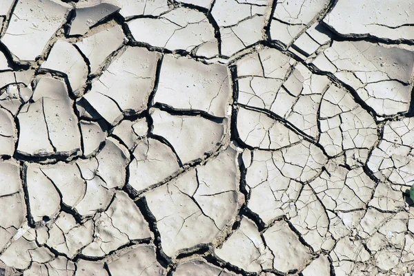 Textura de fondo de tierra seca — Foto de Stock