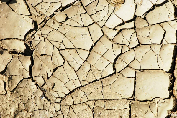 Terra seca Textura de fundo — Fotografia de Stock