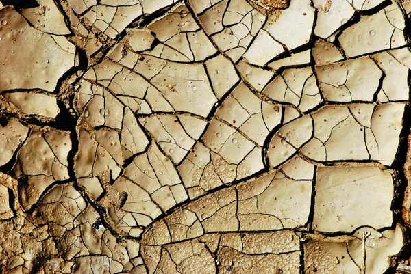 Terra seca Textura de fundo — Fotografia de Stock