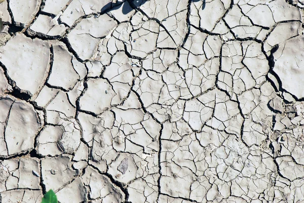 Текстура фона сухой Земли — стоковое фото