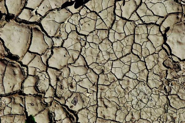 Droog aarde achtergrond textuur — Stockfoto
