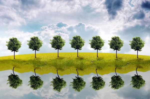 Panorama di campo verde con un albero — Foto Stock