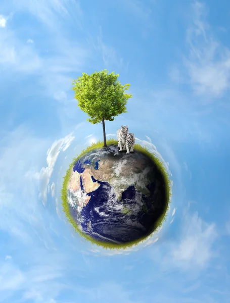 Planeta com árvore — Fotografia de Stock