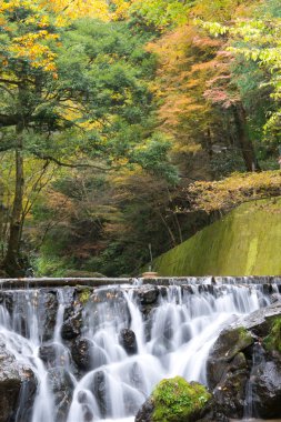 güzel nehir kyoto, Japonya