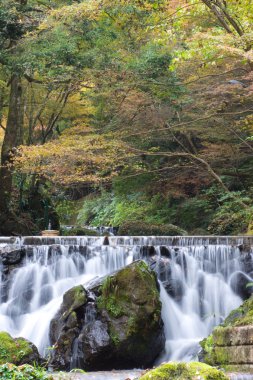 güzel nehir kyoto, Japonya