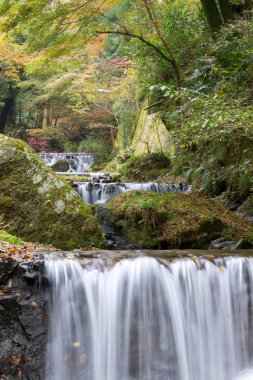 güzel nehir kyoto, Japonya