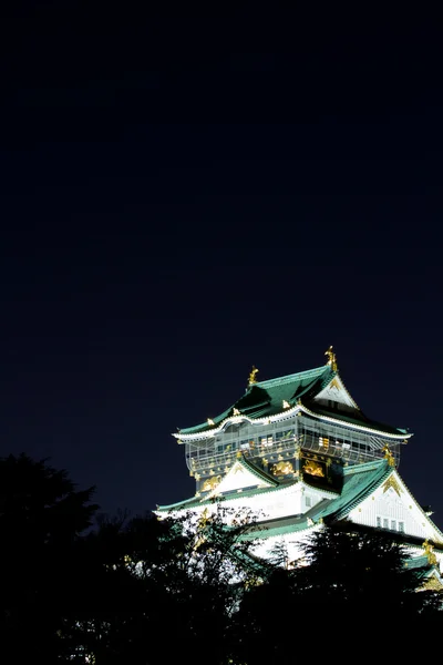 일본에서 오사카 성의 밤 시간 보기 — 스톡 사진