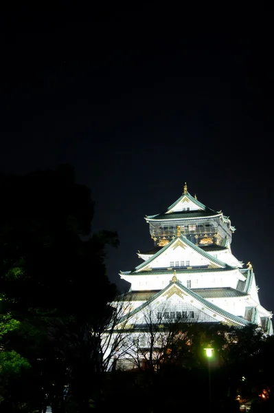 일본에서 오사카 성의 밤 시간 보기 — 스톡 사진