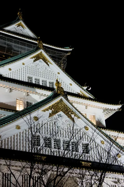 Προβολή νύχτα Οσάκα κάστρο στην Ιαπωνία — Φωτογραφία Αρχείου
