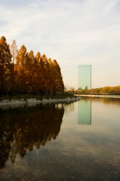 an günbatımı osaka City, Japonya