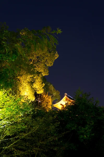 夜の京都の通り — ストック写真