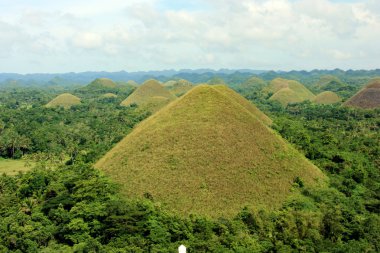 Chocolate Hills clipart