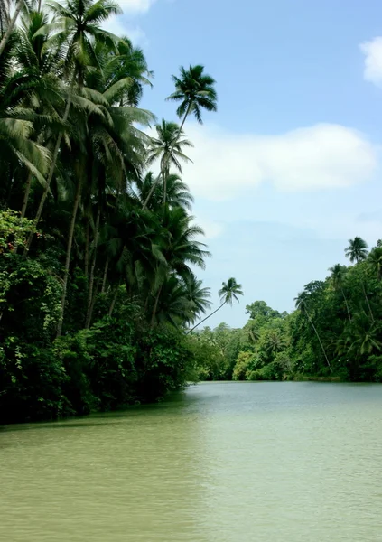 stock image A relaxing lake