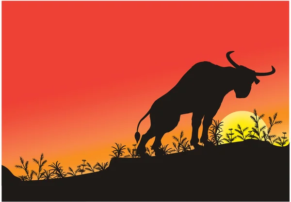 Wild bull — Stock Vector