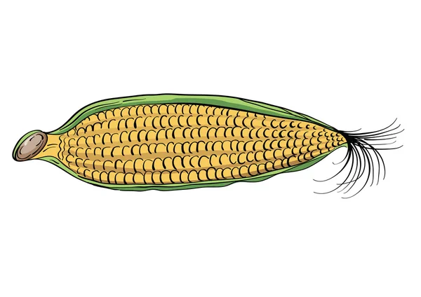 Žlutá kukuřice Vektorová Grafika