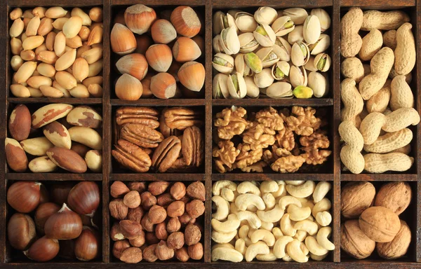 Variedades de frutos secos — Foto de Stock