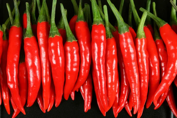 Red chilli peppers. — Stock Photo, Image