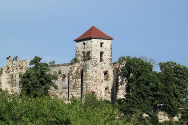 Castle in Poland clipart