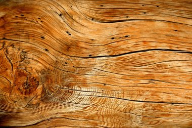 Wooden texture clipart