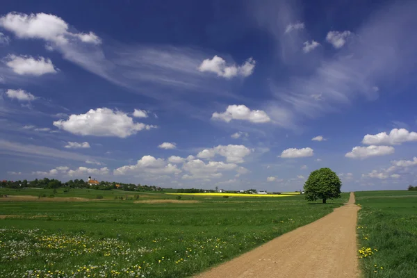 stock image Rural landscape with blue sky